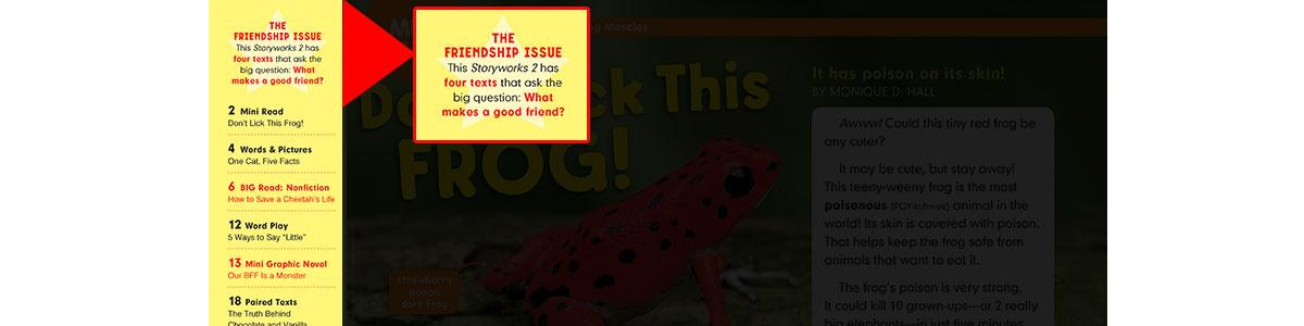 issue screenshot